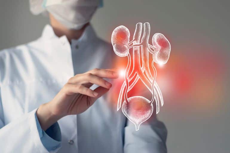 female doctor touches virtual bladder and kidneys in hand. blurred photo, handrawn human organ, highlighted red as symbol of disease. healthcare hospital service concept stock photo