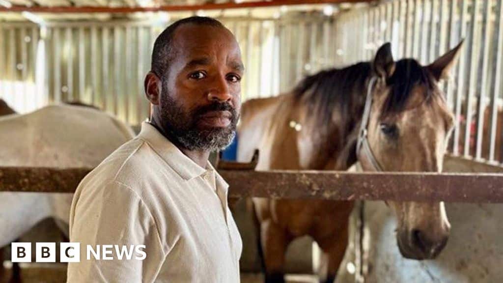 Palestinian horse centre vows to rebuild after West Bank demolition