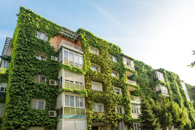 Green building with plants growing on the facade. Ecology and green living in city. Eco-building covered with ivy (green wall or bio-wall). Ecological vertical forest. شترستوك