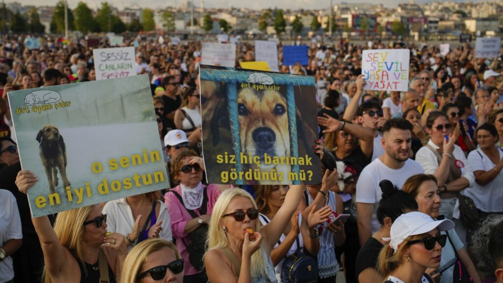 Thousands of Turks protest controversial law to remove stray dogs