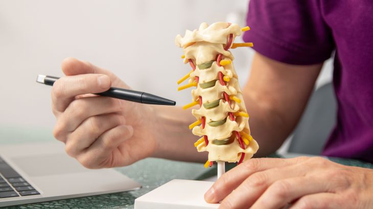 an osteopath explaining the function of the intervertebral discs on a model of the spine المصدر : انفاتو