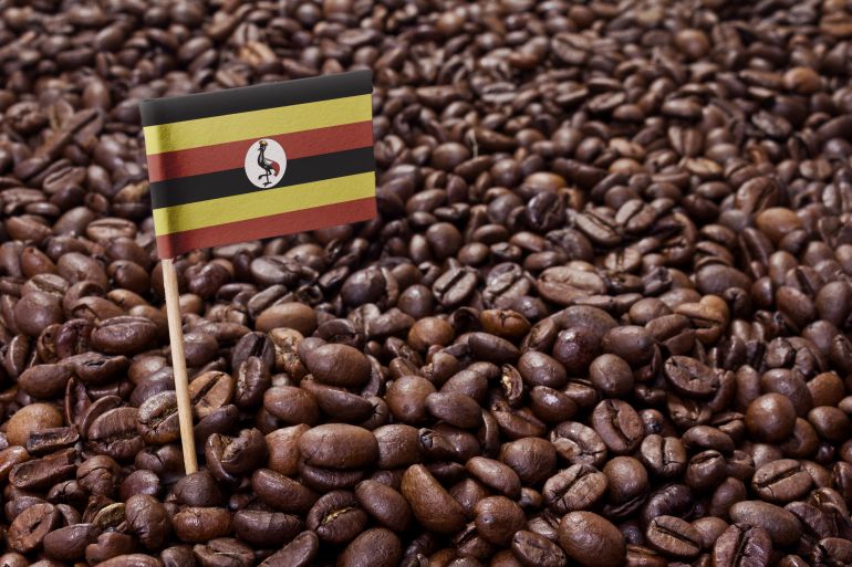 ugandan coffee